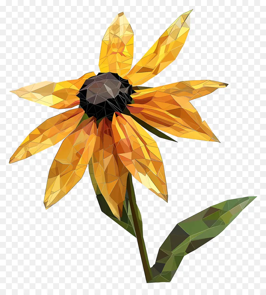 Dijital çiçek，Siyah Gözlü Susan PNG