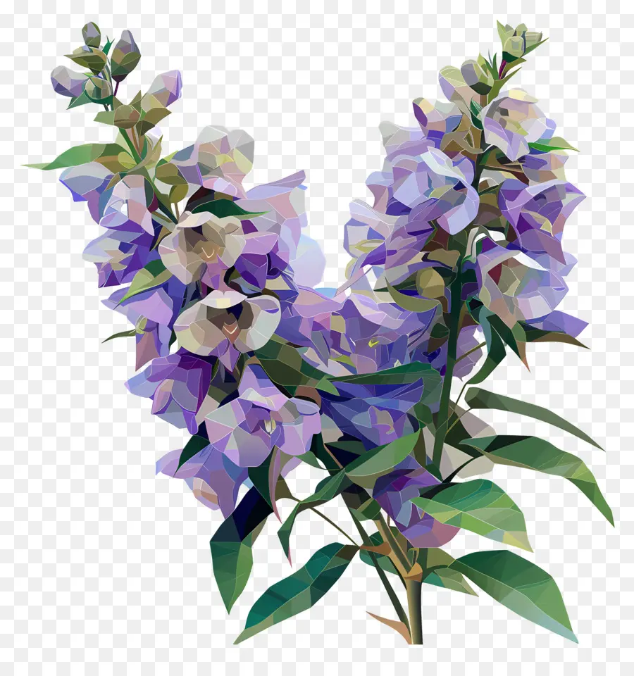 Dijital çiçek，Mor Bitki PNG