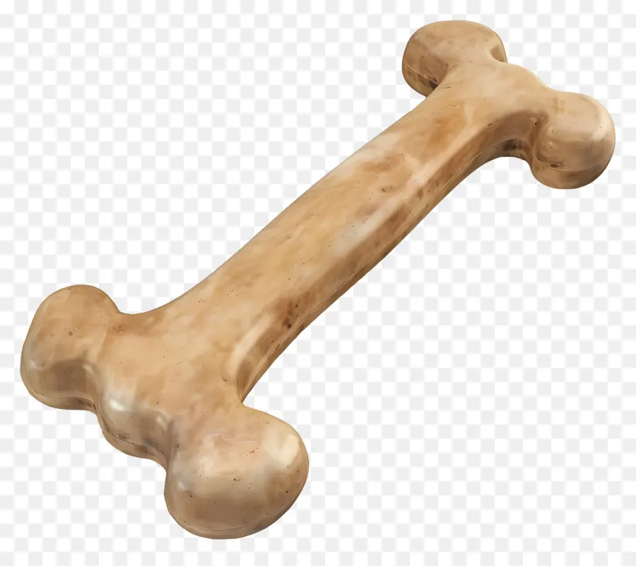 Köpek Kemik，Cilalı Kemik PNG