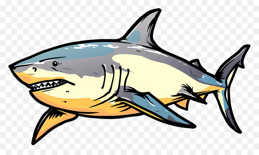 Boğa Köpekbalığı，Köpekbalığı PNG
