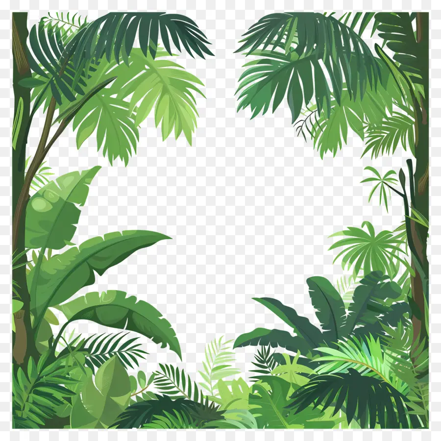 Orman Arka Planı，Tropikal Orman PNG