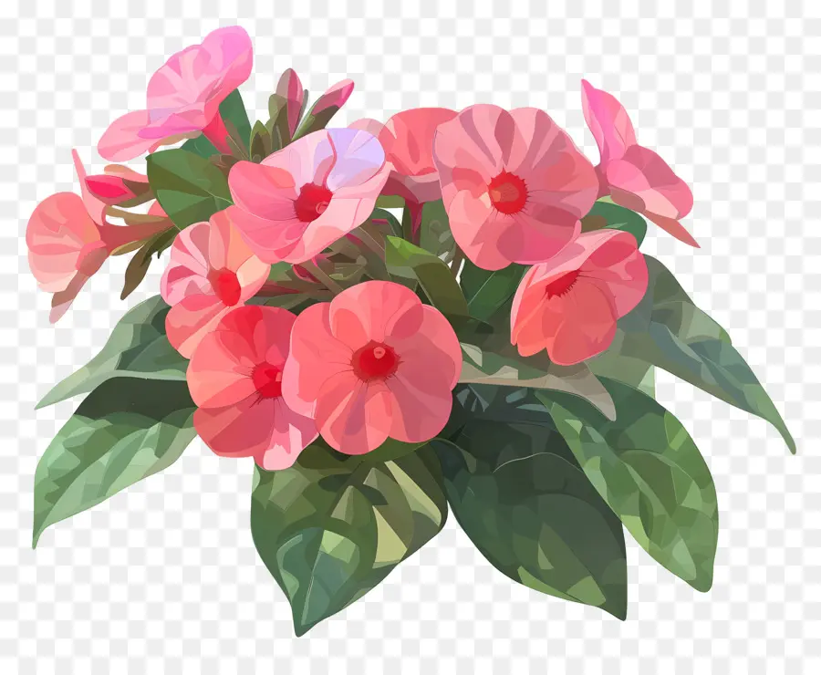 Dijital çiçek Sanatı，Pembe Gerbera Çiçeği PNG