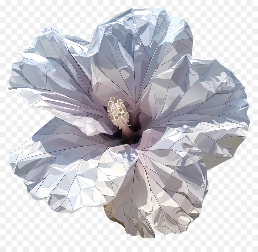 Dijital çiçek，Hibiscus çiçek PNG