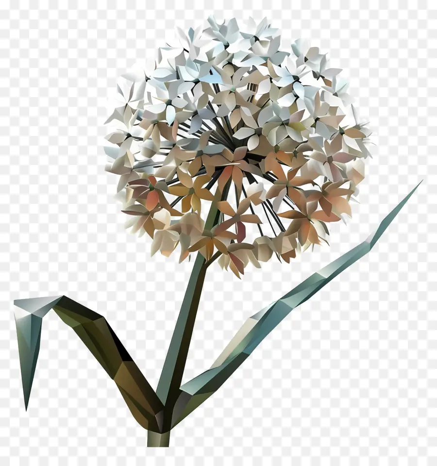 Dijital çiçek，Beyaz Soğan PNG