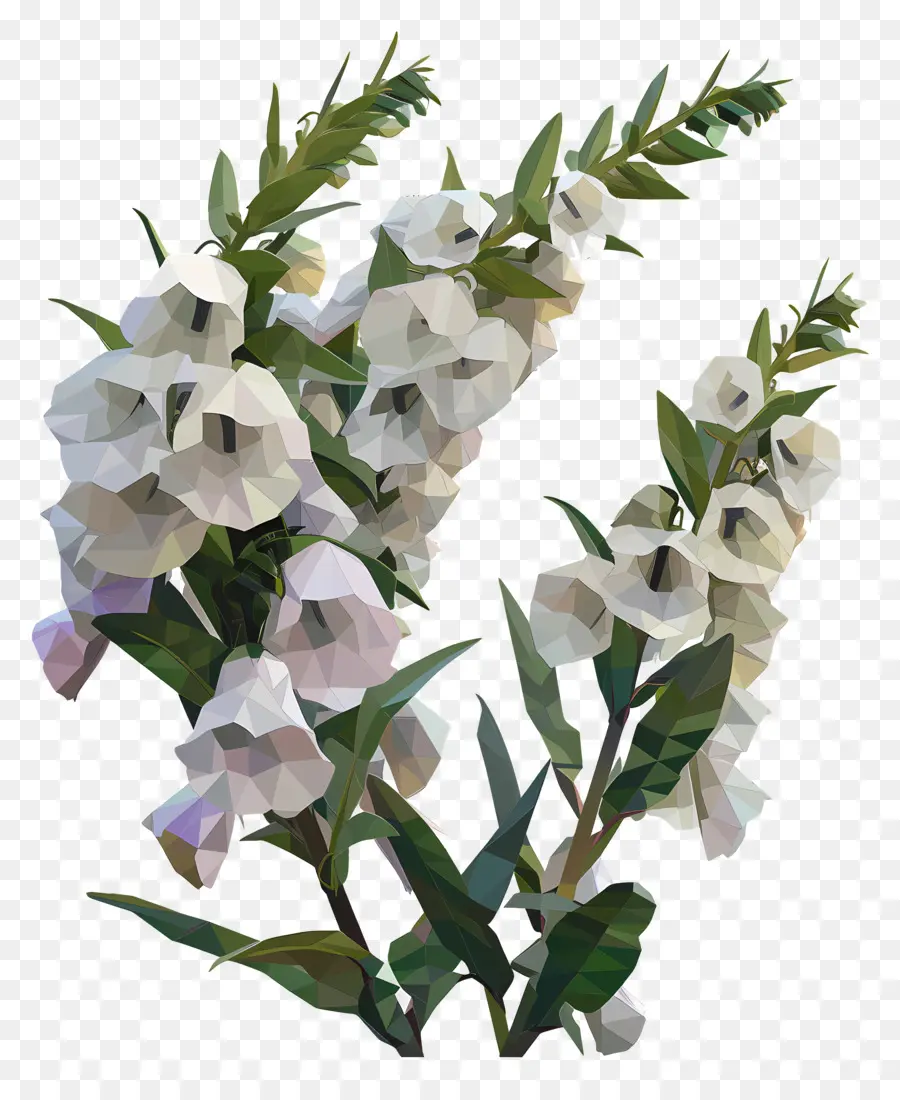 Dijital çiçek，çiçek Rengi PNG
