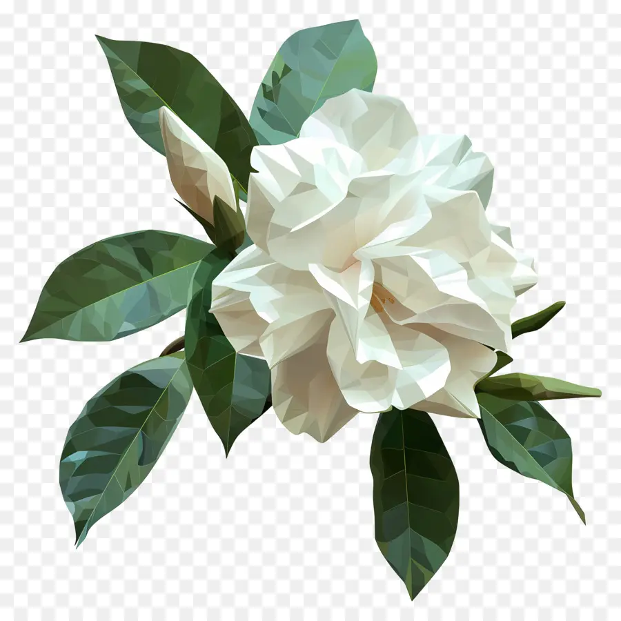 Dijital çiçek，Beyaz çiçek PNG