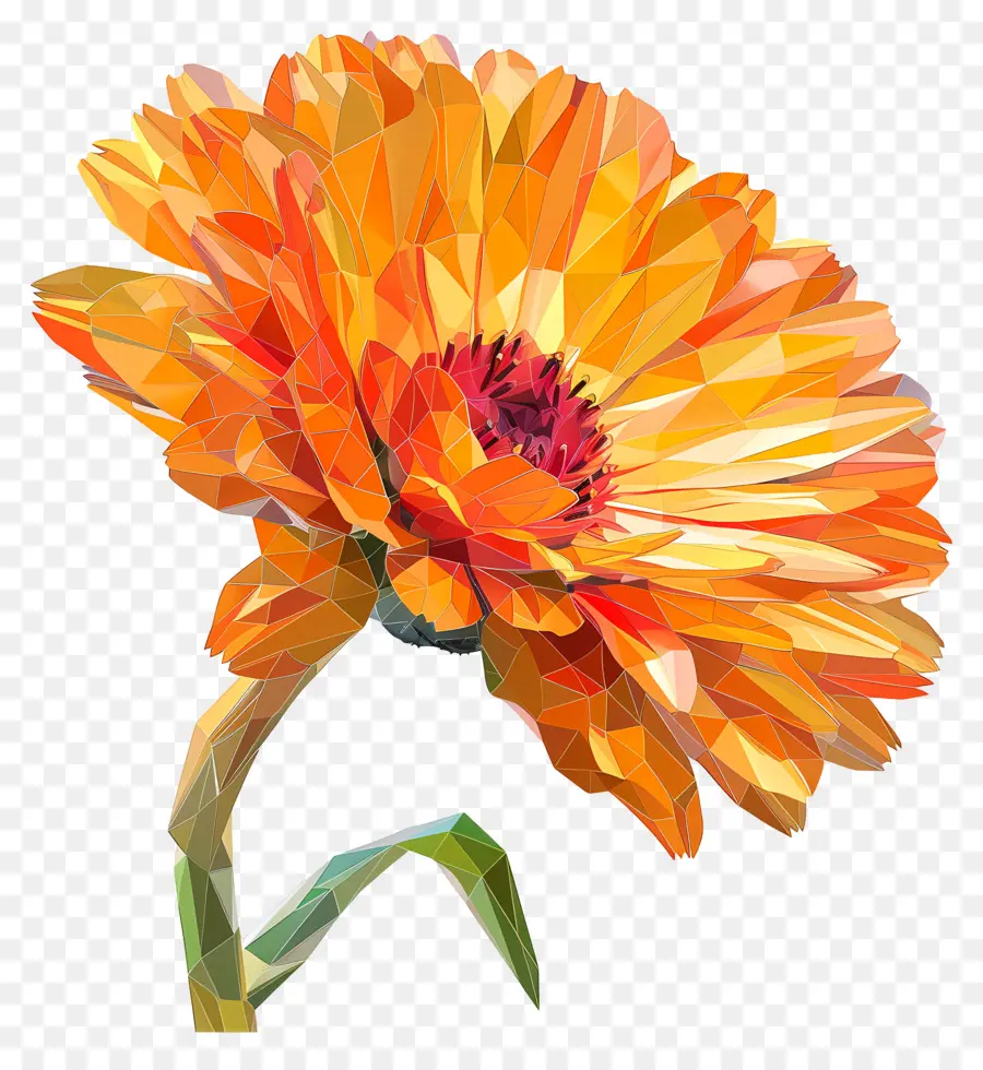 Dijital çiçek，Alçakgönüllü çiçeği PNG