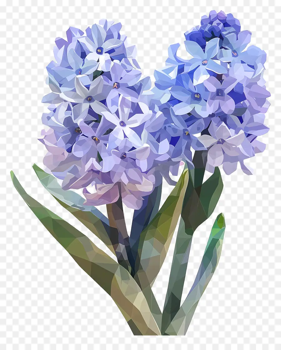 Dijital çiçek，Mavi Sümbül PNG