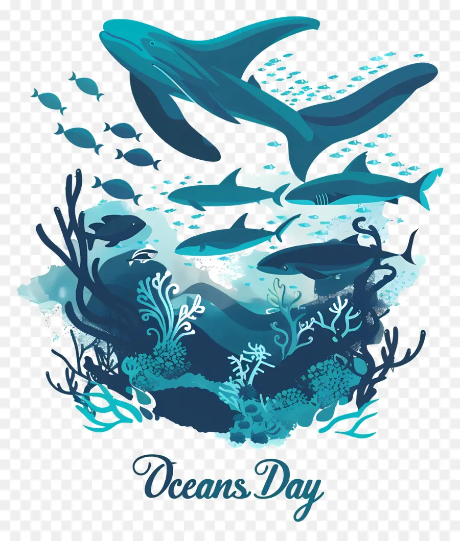 Dünya Okyanus Günü，Okyanus Yaban Hayatı PNG
