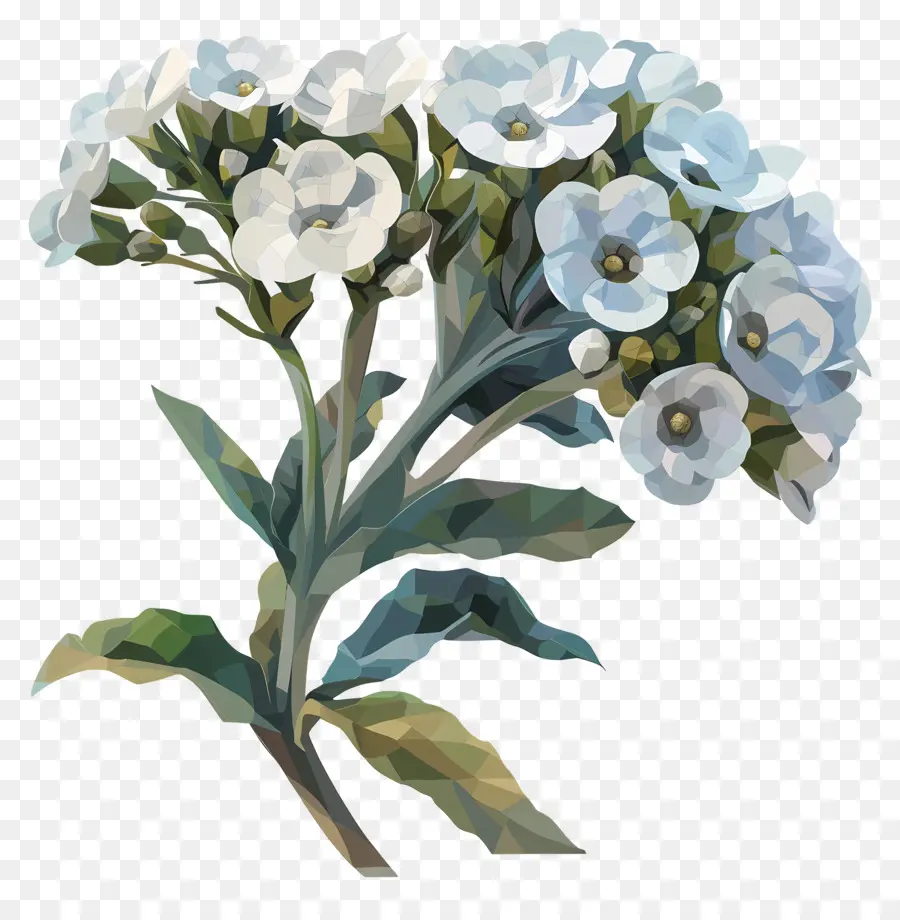 Dijital çiçek Sanatı，Beyaz çiçekler PNG