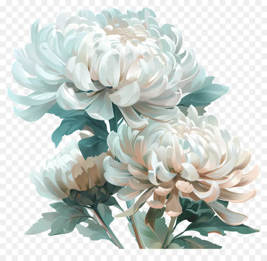Dijital çiçek，Beyaz Krizantemler PNG