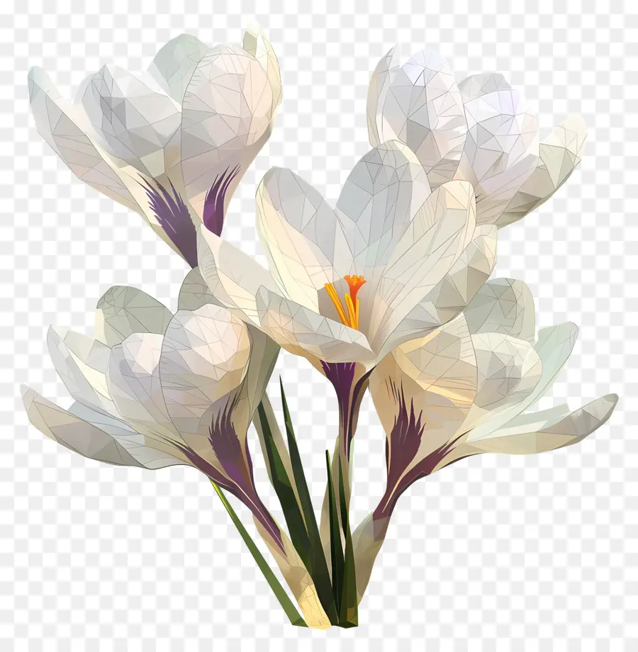 Dijital çiçek，Beyaz çiğdem PNG
