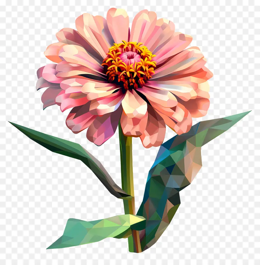 Dijital çiçek Sanatı，Pembe çiçek PNG