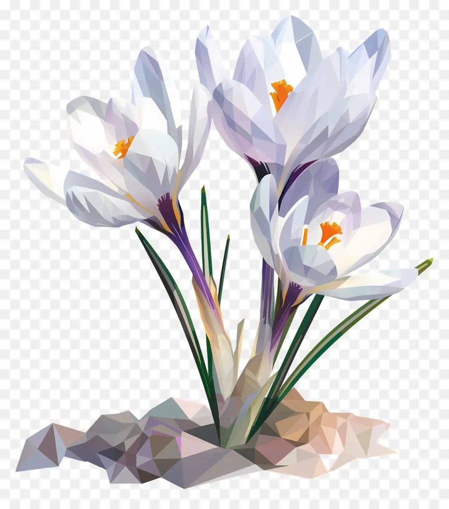 Dijital çiçek，Beyaz Çiğdem PNG