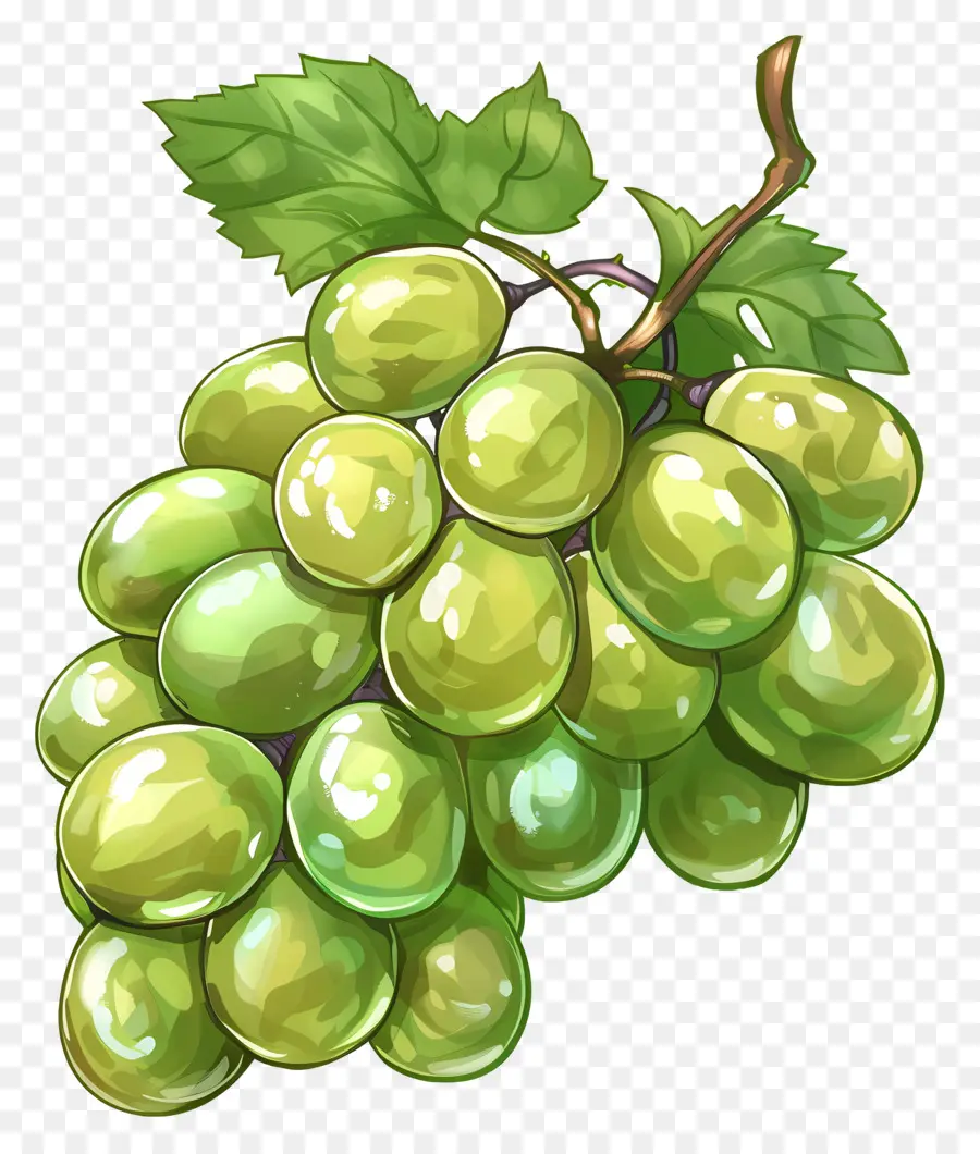 Yeşil üzüm，Meyve PNG