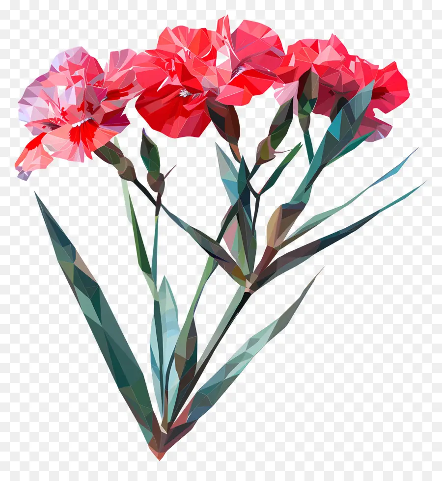 Dijital çiçek，Kırmızı Karanfil PNG