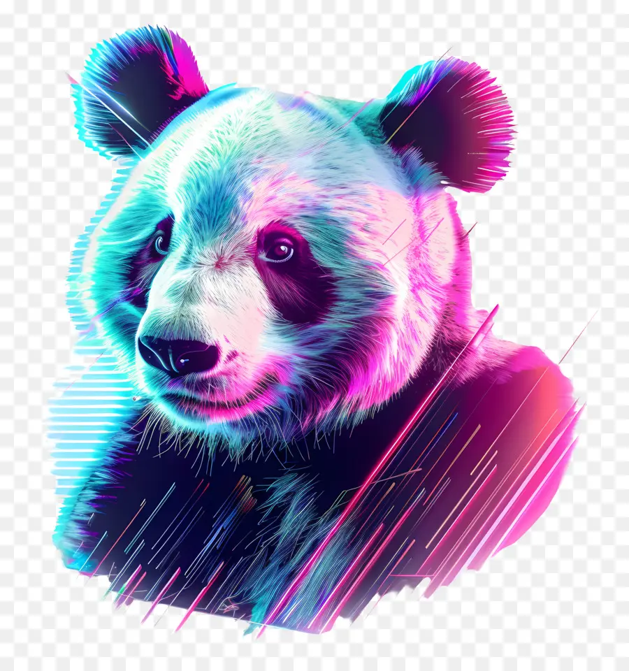 Buhar Dalgası Panda，Renkli Panda PNG