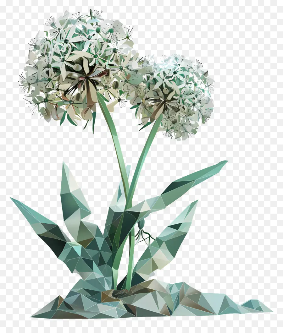 Dijital çiçek，Sarımsak PNG