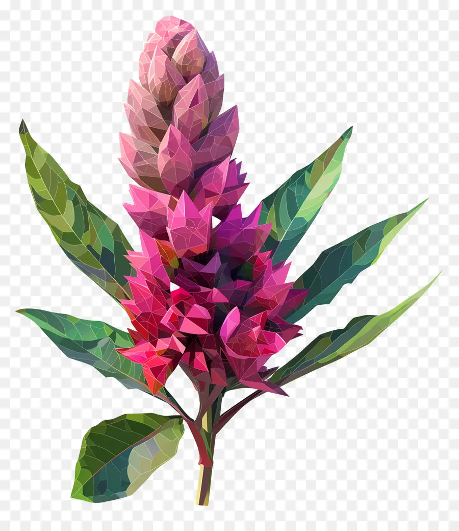 Dijital çiçek，Pembe çiçek PNG