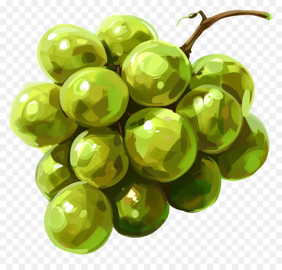 Yeşil üzüm，Taze Meyve PNG