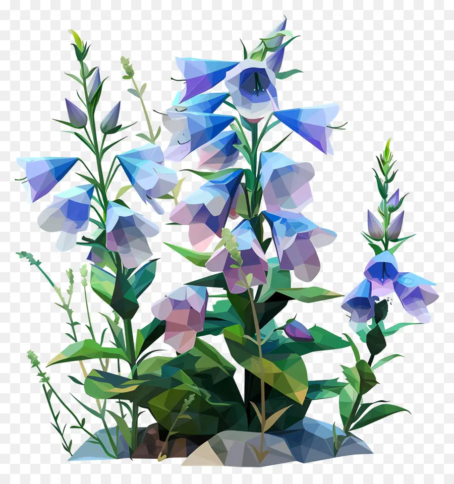 Dijital çiçek Sanatı，Mavi Kır çiçekleri PNG