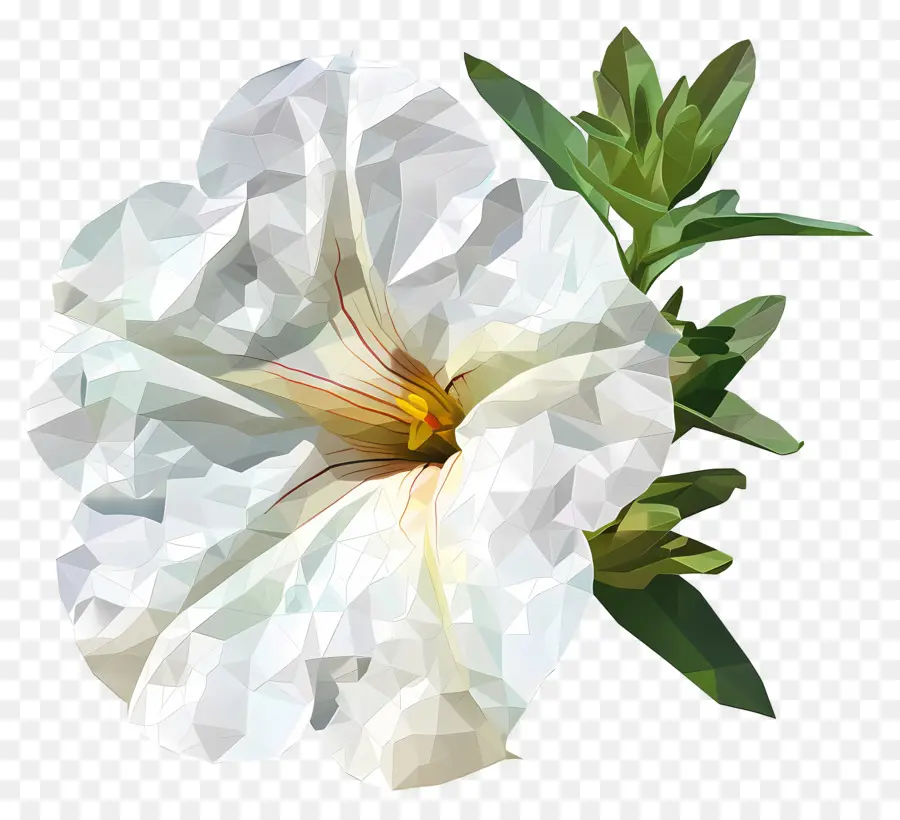 Dijital çiçek，Beyaz çiçek PNG