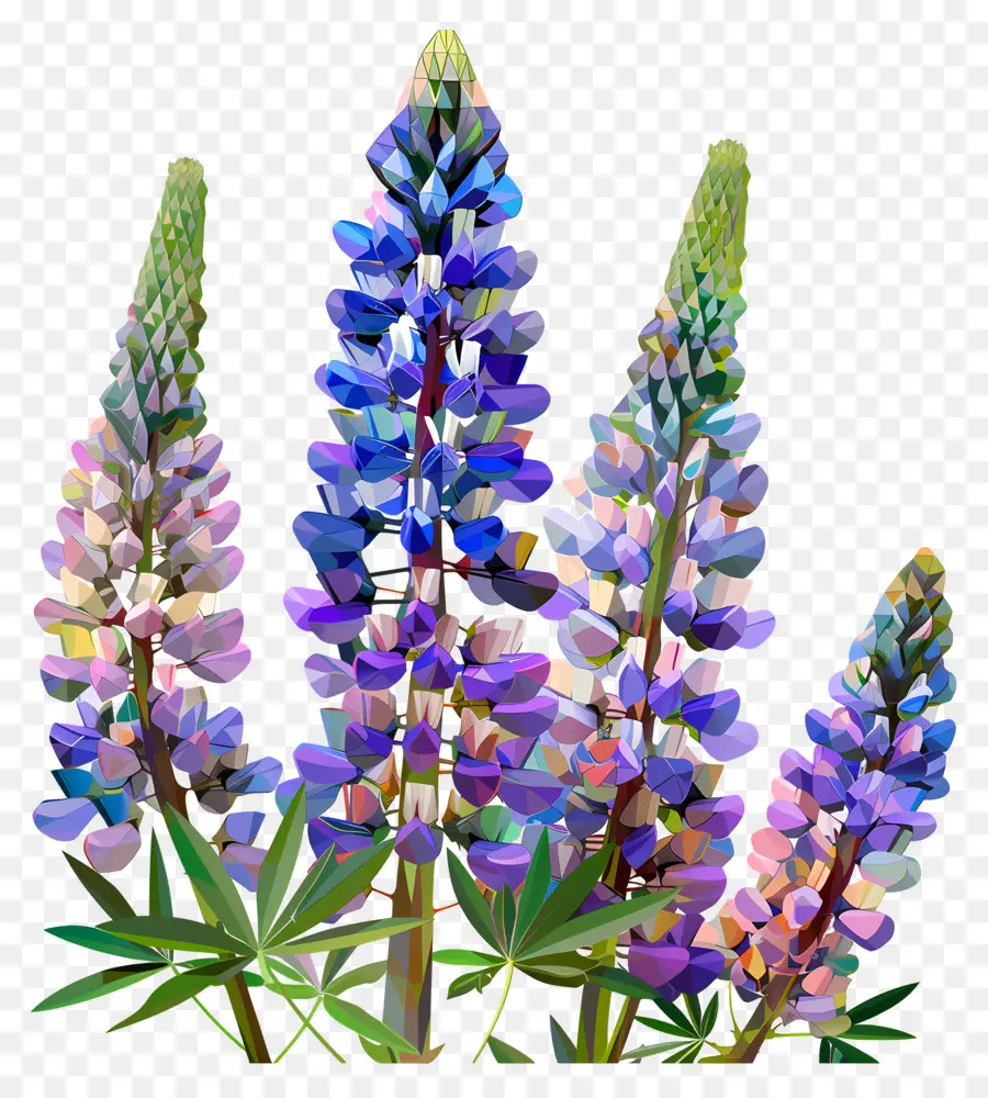 Dijital çiçek Sanatı，Lupin çiçekleri PNG