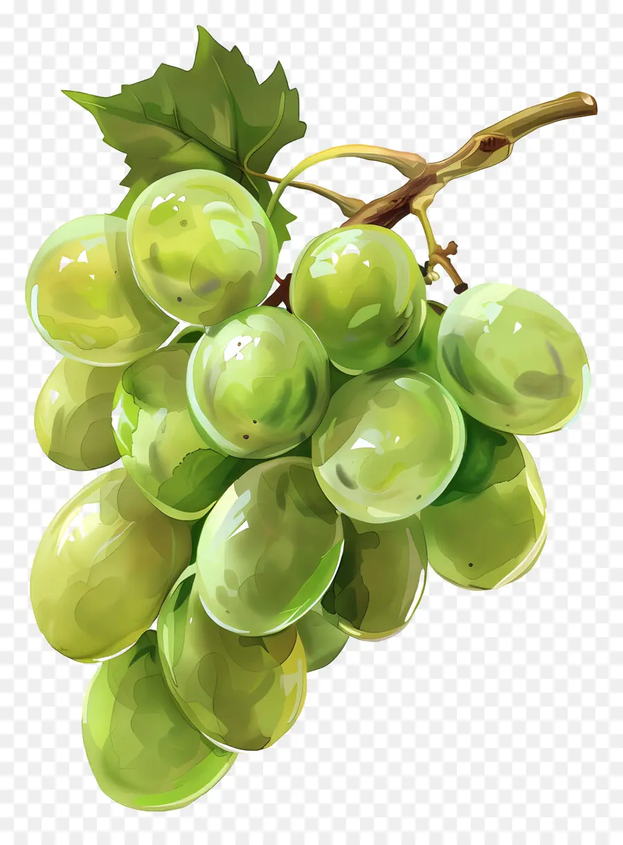 Yeşil üzüm，üzüm Kümesi PNG