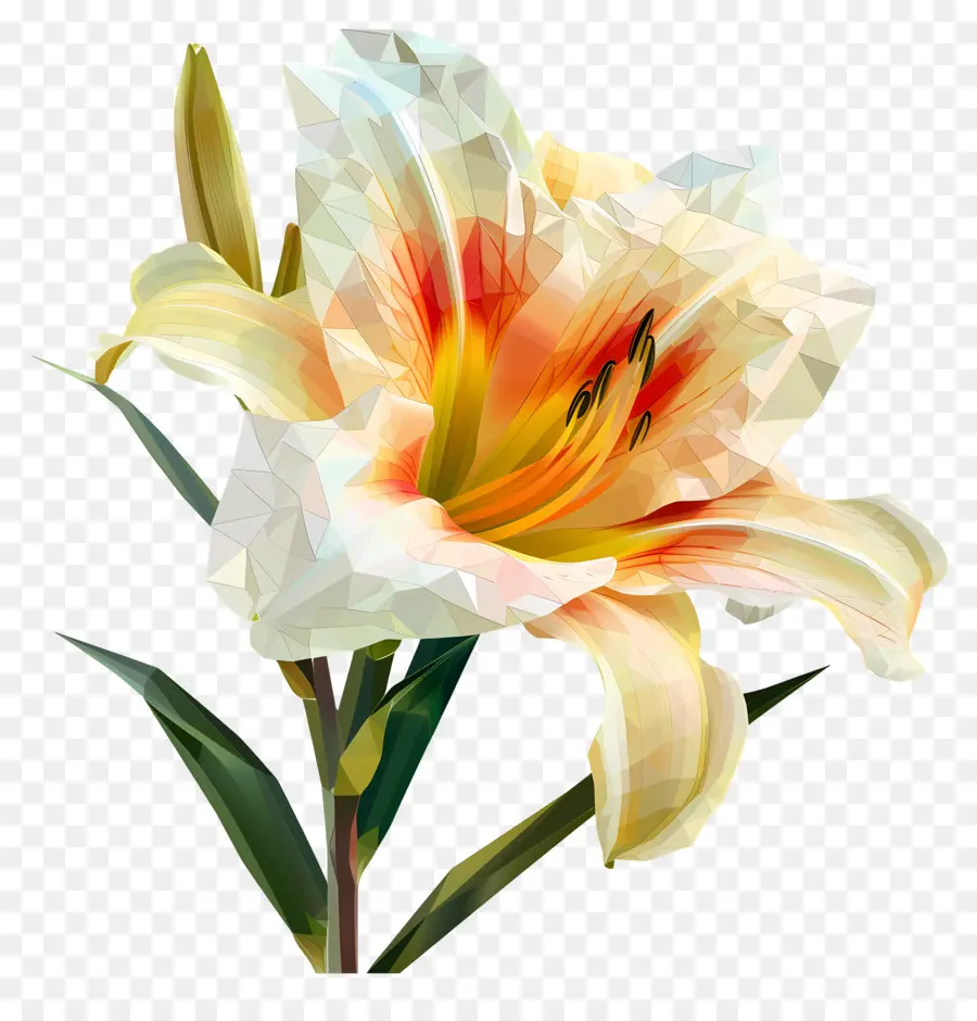 Dijital çiçek，Beyaz Zambak PNG