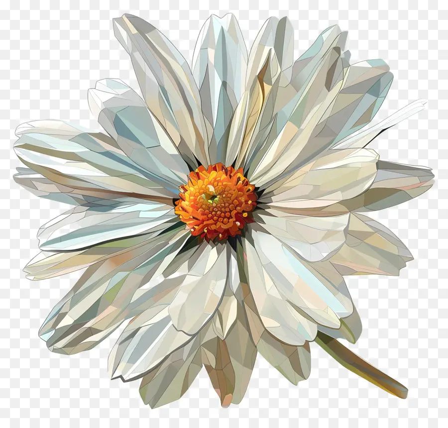Dijital çiçek Sanatı，Beyaz Papatya PNG