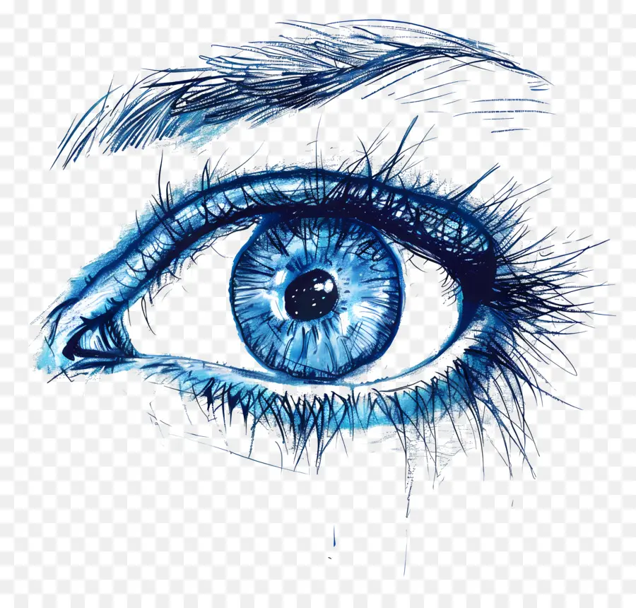 Açık Göz，Mavi Göz PNG
