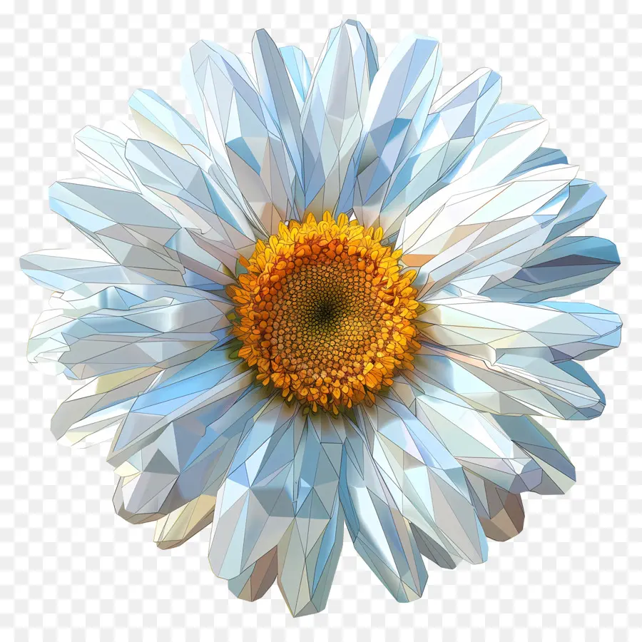 Dijital çiçek Sanatı，Beyaz Papatya PNG