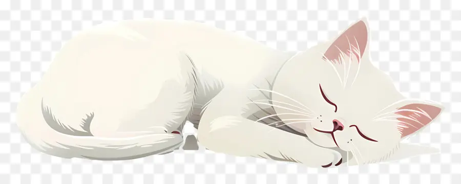 Kedi Uyku，Beyaz Kedi PNG