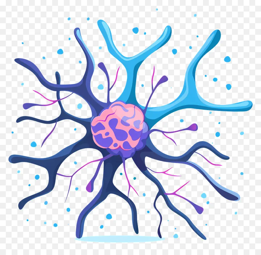 Nöronlar，Beyin Hücre PNG