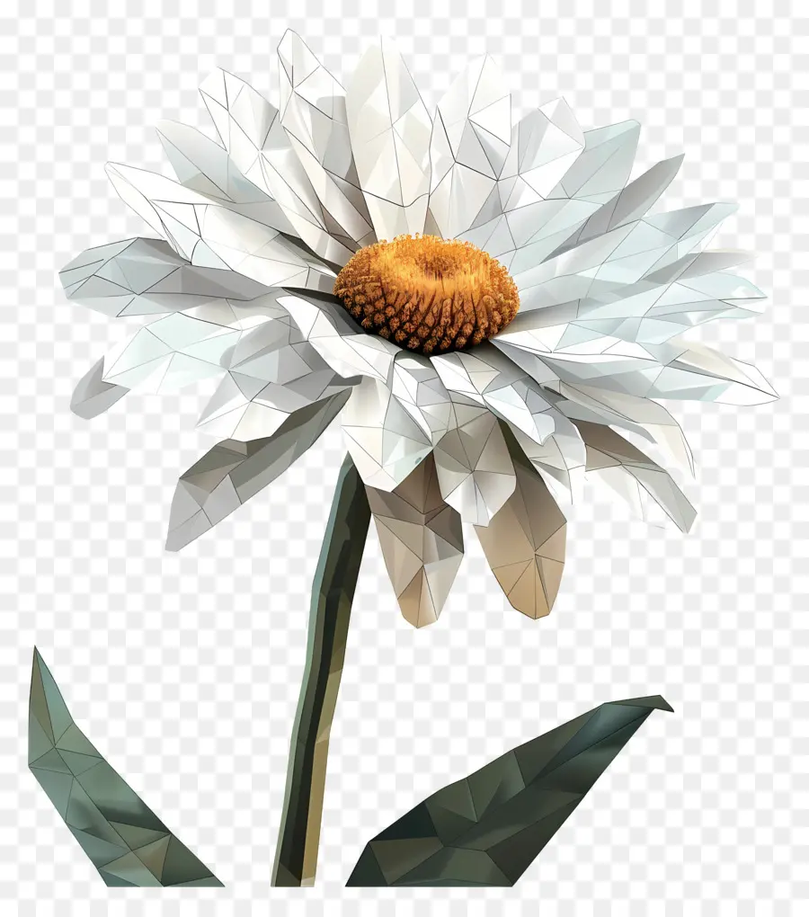 Dijital çiçek Sanatı，Daisy çiçek PNG