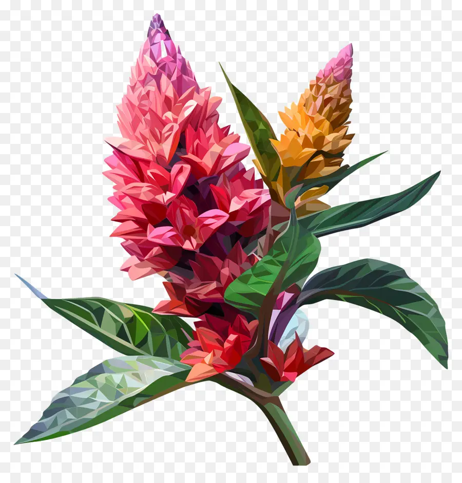 Dijital çiçek，Renkli çiçekler PNG