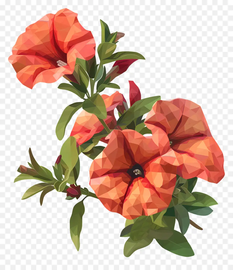 Dijital çiçek，Turuncu çiçekler PNG