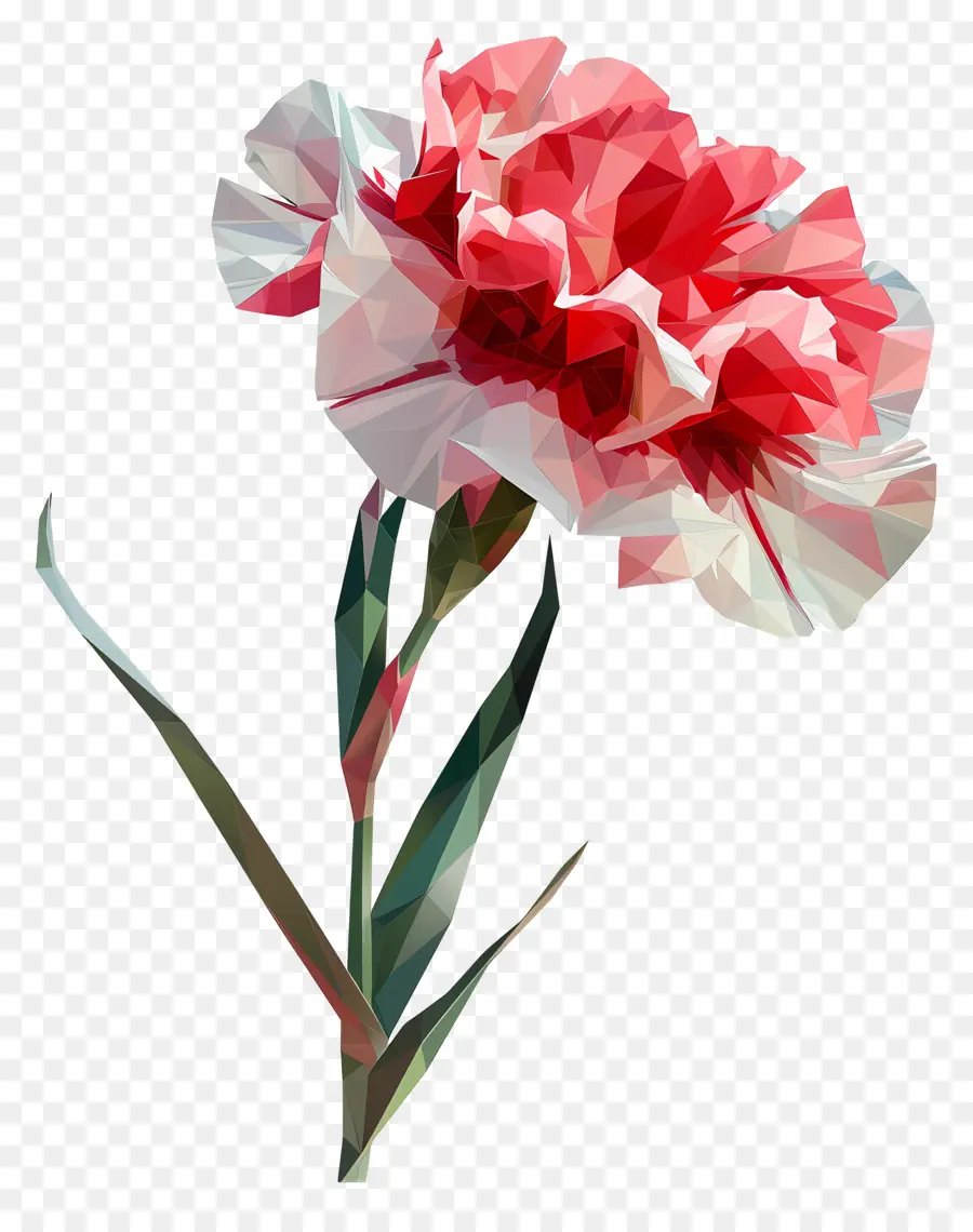 Dijital çiçek，Pembe Karanfil PNG