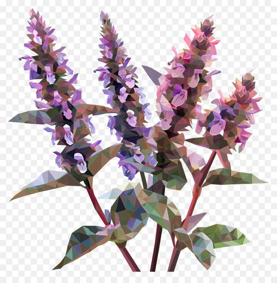 Dijital çiçek，Adaçayı Bitkileri PNG