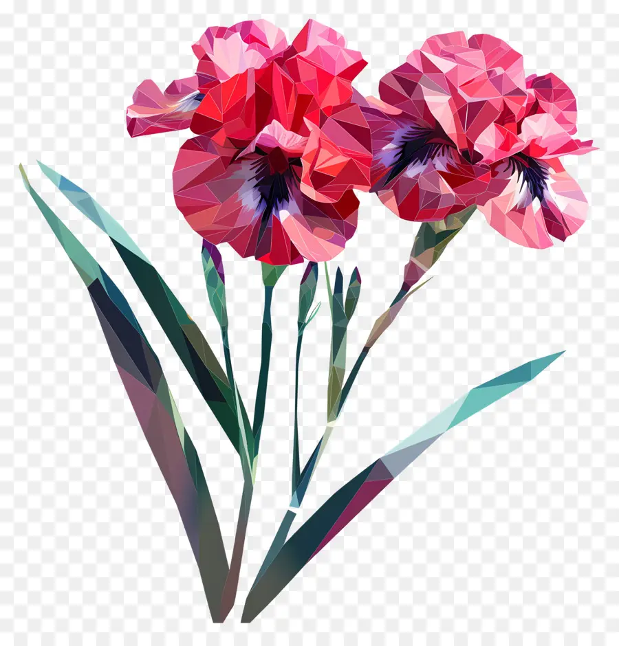 Dijital çiçek，Pembe Iris PNG