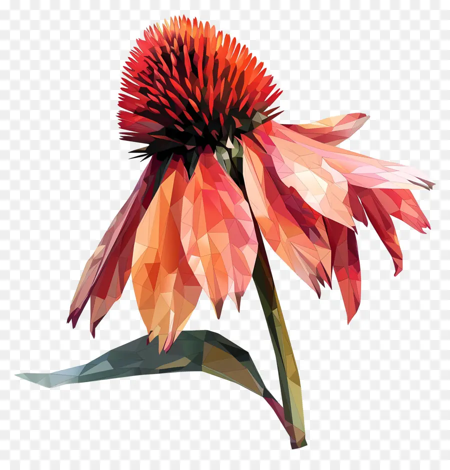 Dijital çiçek，Koni çiçeği PNG