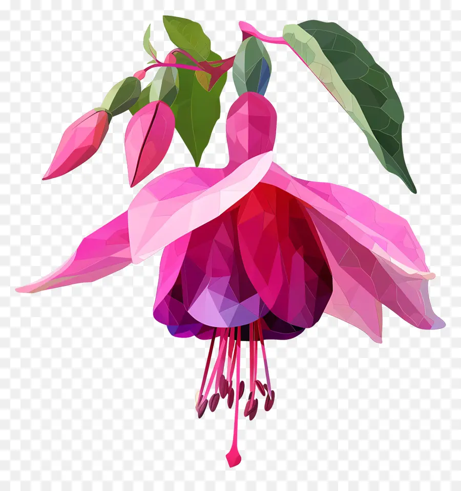 Dijital çiçek，Fuşya çiçek PNG