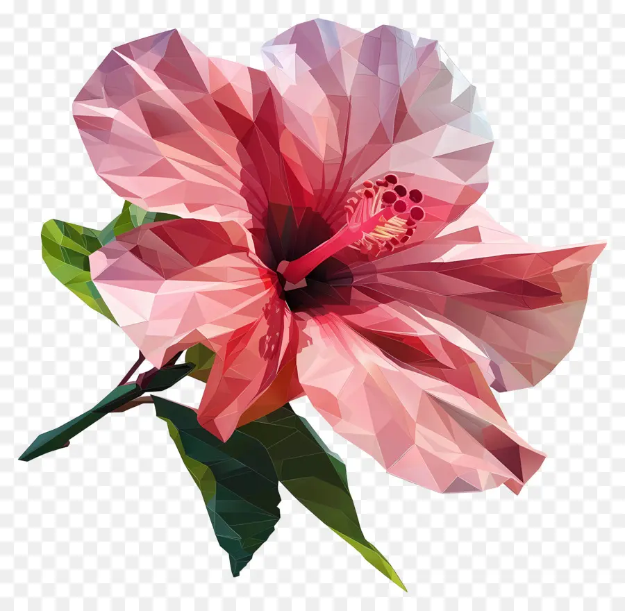 Dijital çiçek Sanatı，Pembe Ebegümeci PNG
