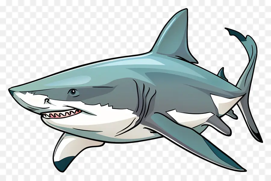 Boğa Köpekbalığı，Büyük Beyaz Köpekbalığı PNG