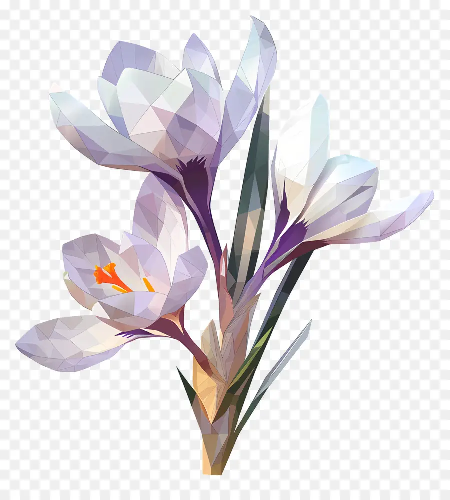 Dijital çiçek，Düşük Poli PNG