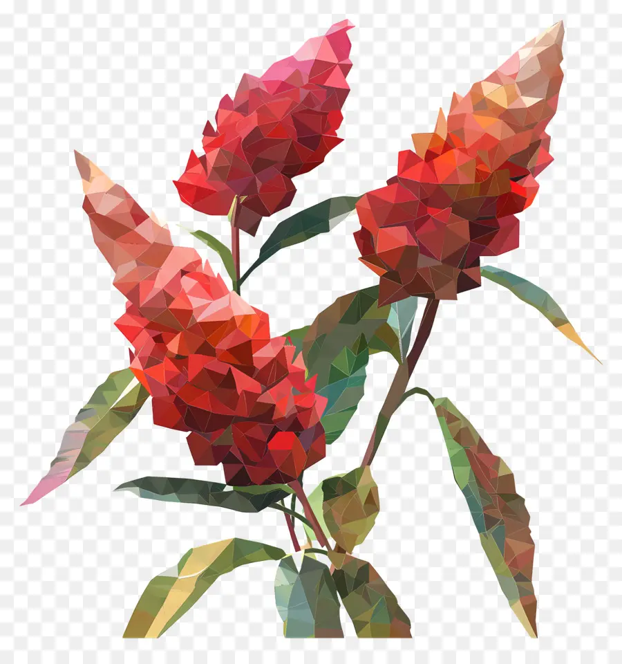 Dijital çiçek，Scaevola Rakip PNG