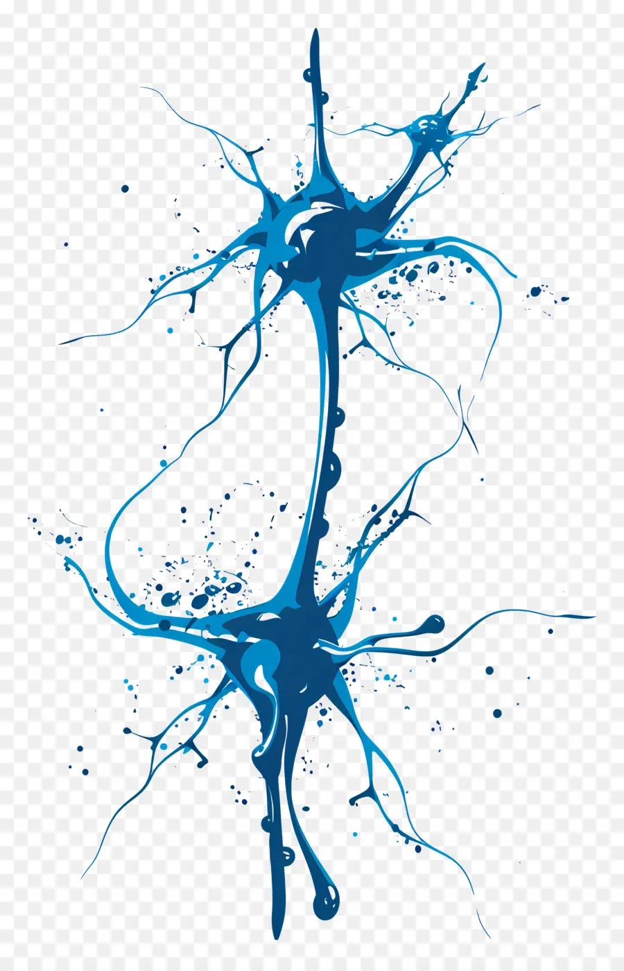 Nöronlar，Nöron PNG