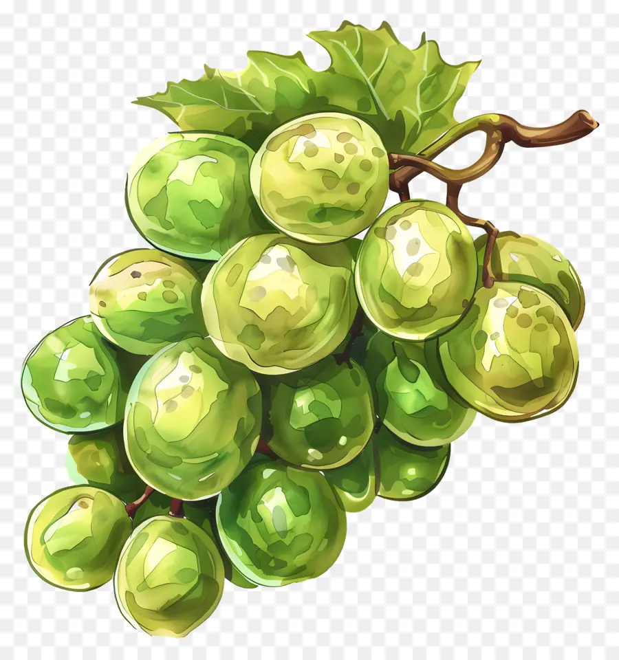 Yeşil üzüm，Olgun PNG