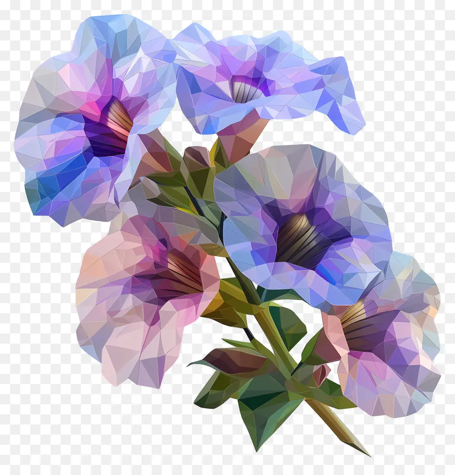 Dijital çiçek，Glayöl PNG