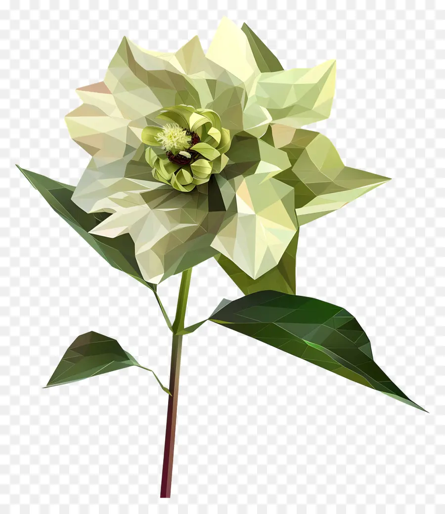 Dijital çiçek，Beyaz Kamelya PNG